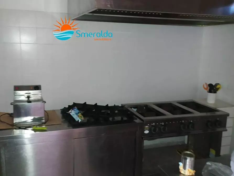 Immagine 30 di Azienda agricola in vendita  a Romana