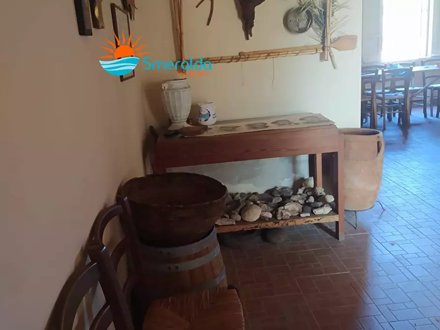 Immagine 26 di Azienda agricola in vendita  a Romana