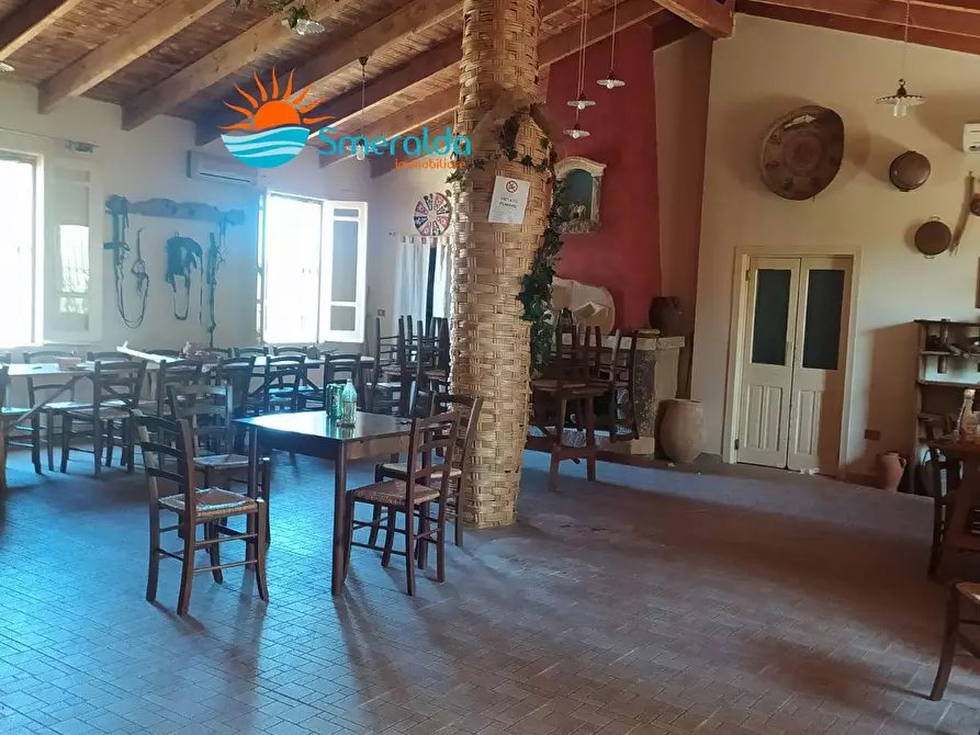 Immagine 23 di Azienda agricola in vendita  a Romana