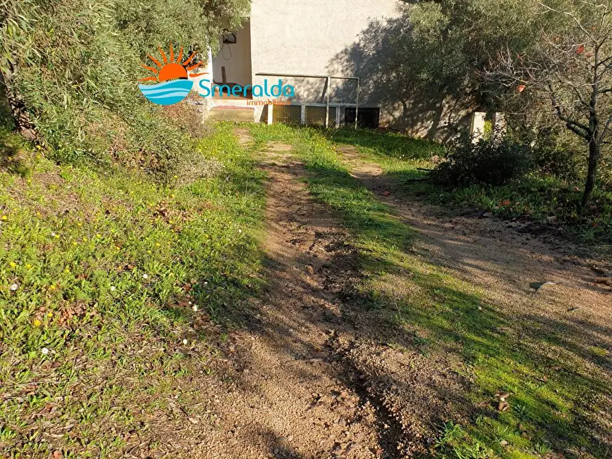 Immagine 1 di Rustico / casale in vendita  in SP136 Luras a Tempio Pausania