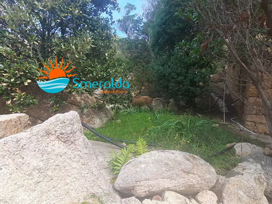 Immagine 24 di Albergo/B&B/Residence in vendita  a Trinità D'agultu E Vignola