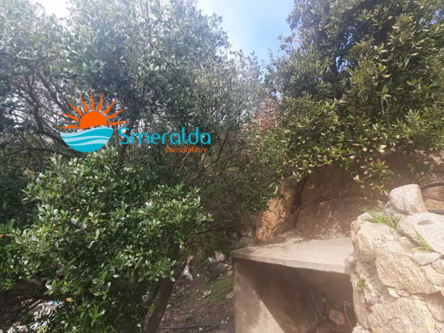 Immagine 25 di Albergo/B&B/Residence in vendita  a Trinità D'agultu E Vignola