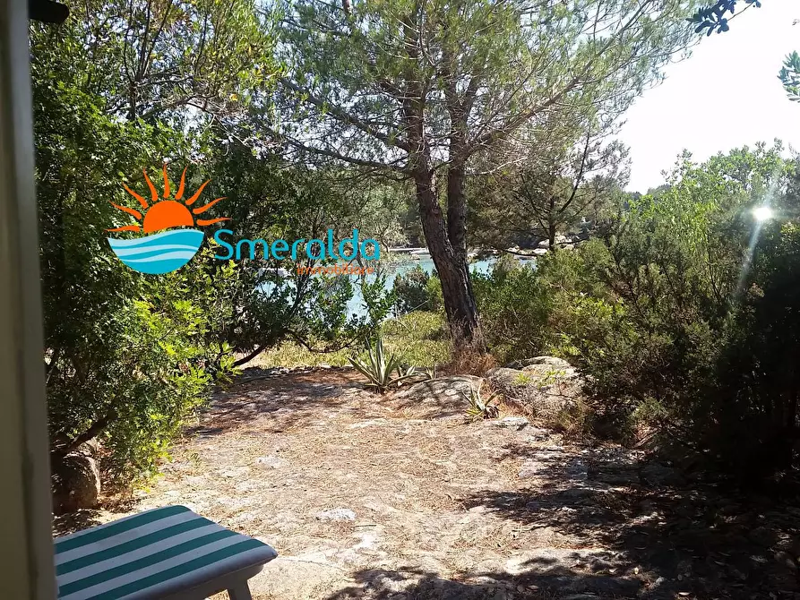 Immagine 11 di Villa in affitto  in via cala di volpe a Arzachena