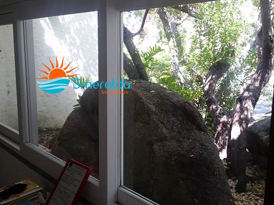 Immagine 17 di Villa in affitto  in via cala di volpe a Arzachena