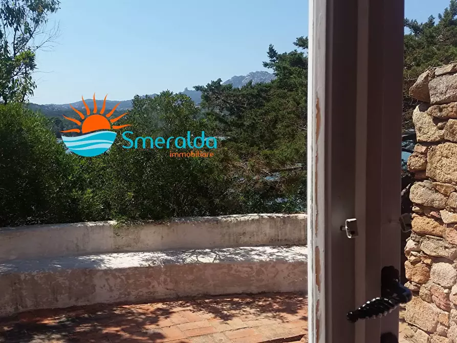 Immagine 24 di Villa in affitto  in via cala di volpe a Arzachena