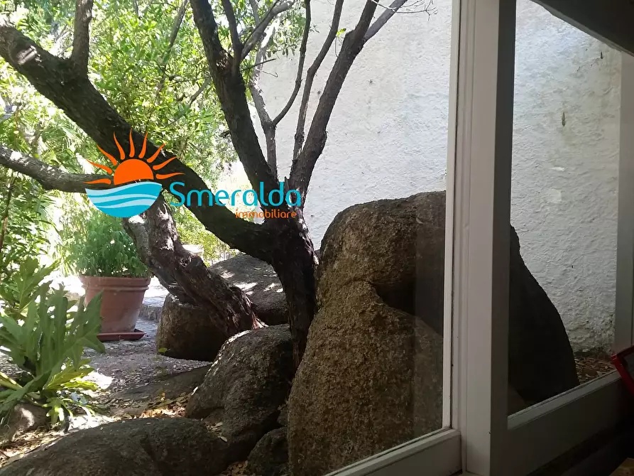 Immagine 25 di Villa in affitto  in via cala di volpe a Arzachena