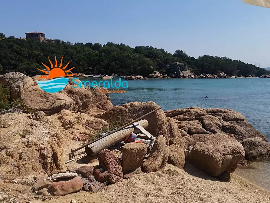 Immagine 26 di Villa in affitto  in via cala di volpe a Arzachena