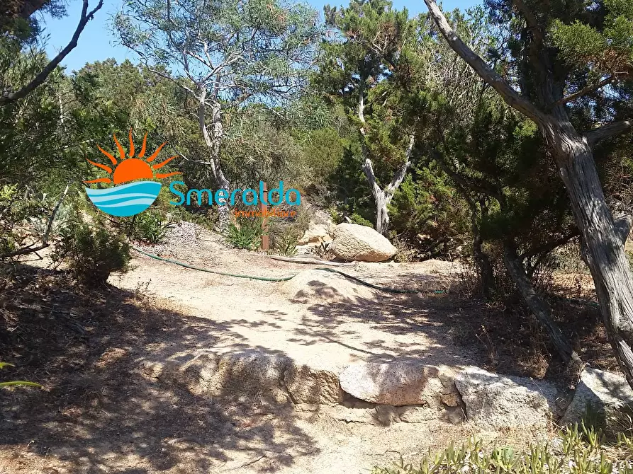 Immagine 29 di Villa in affitto  in via cala di volpe a Arzachena