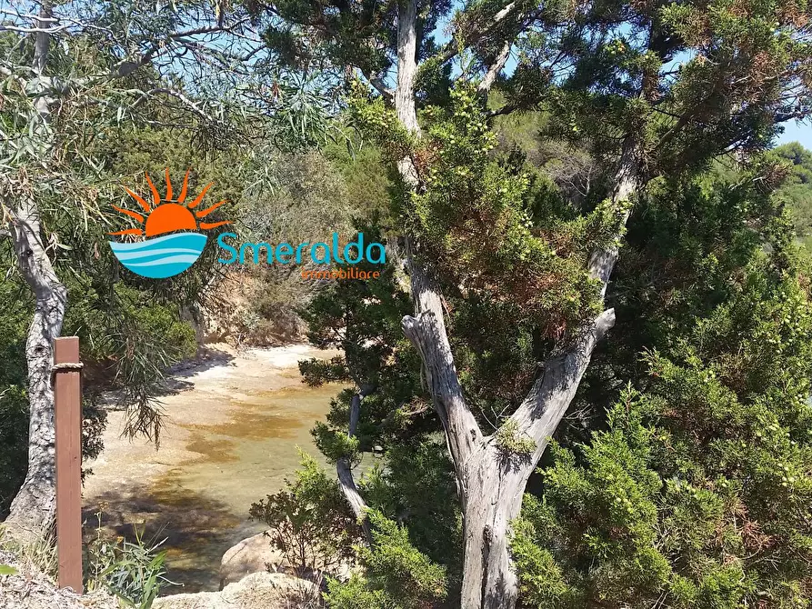 Immagine 30 di Villa in affitto  in via cala di volpe a Arzachena