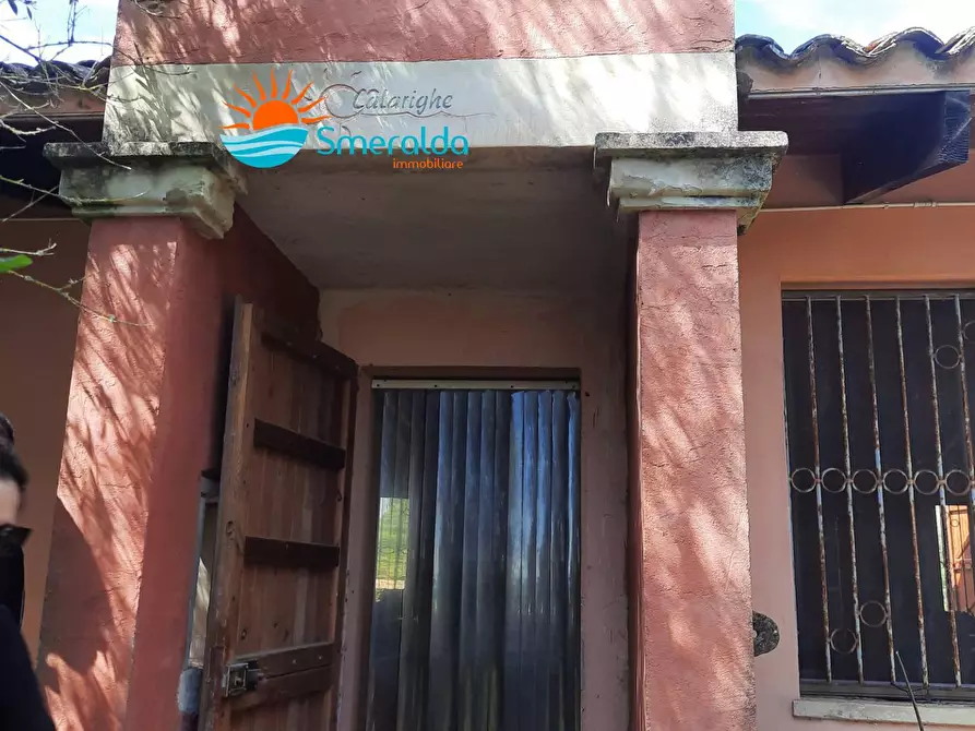 Immagine 2 di Azienda agricola in vendita  a Romana