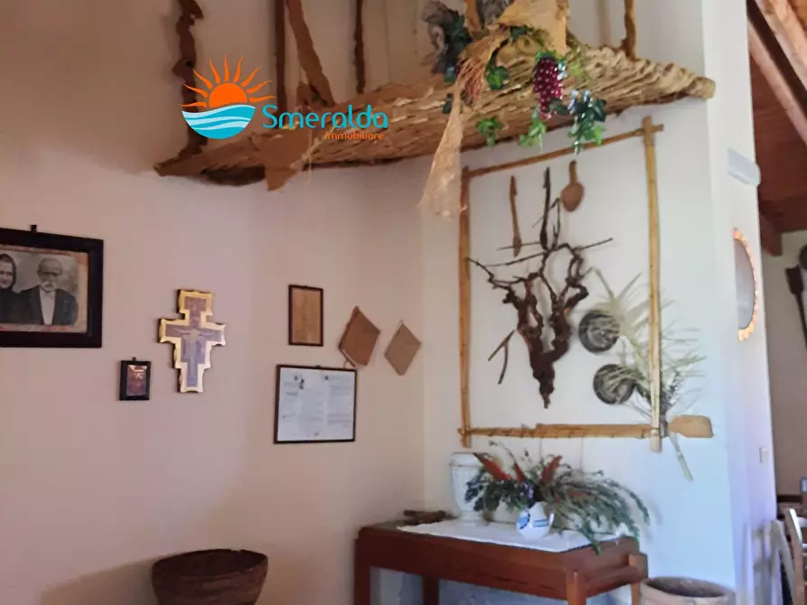 Immagine 7 di Azienda agricola in vendita  a Romana