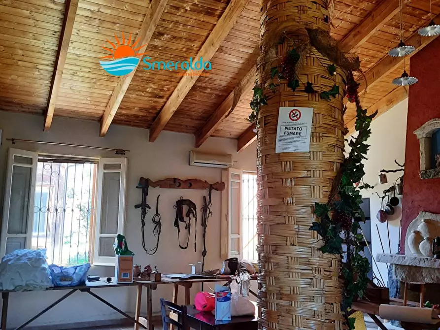 Immagine 21 di Azienda agricola in vendita  a Romana