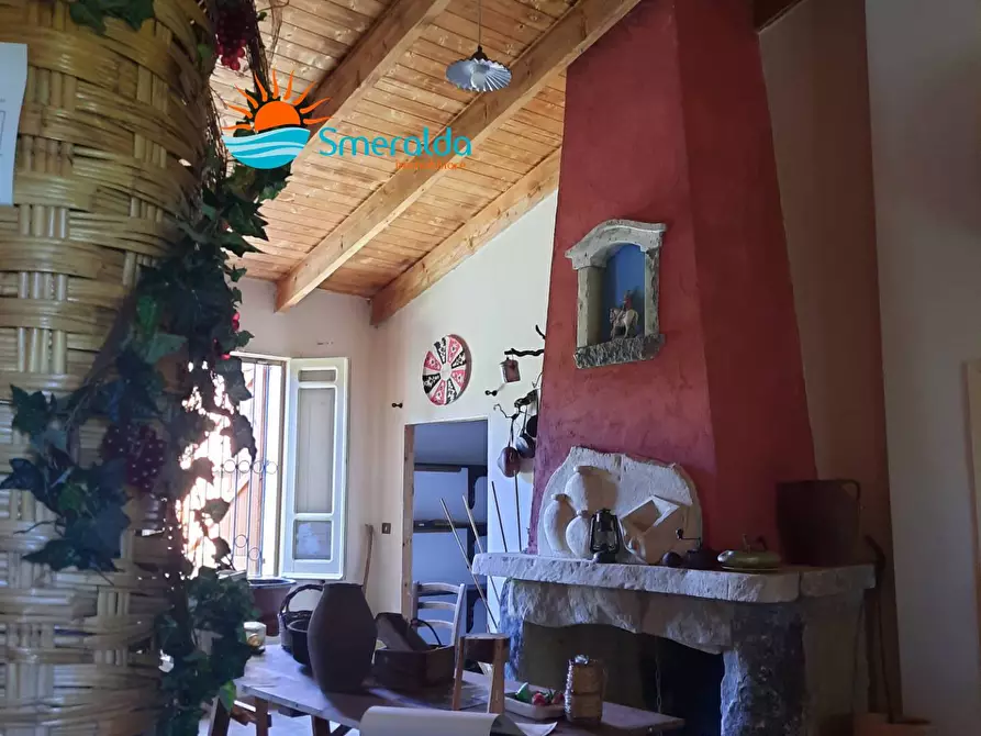 Immagine 20 di Azienda agricola in vendita  a Romana