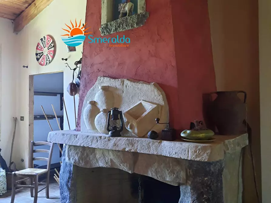 Immagine 9 di Azienda agricola in vendita  a Romana