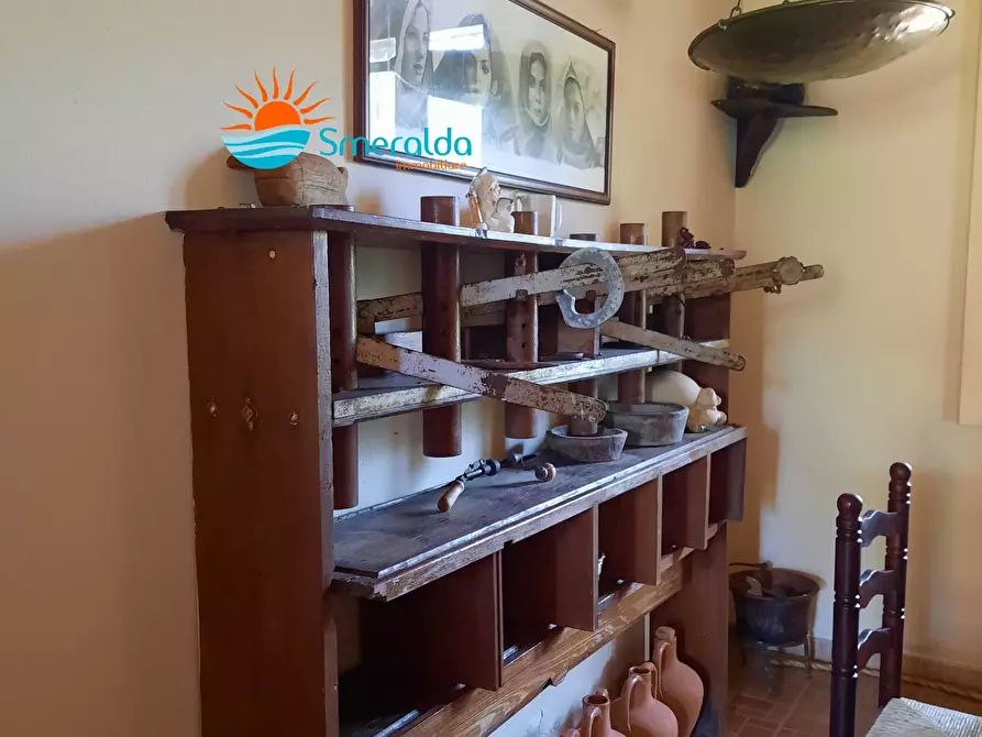 Immagine 19 di Azienda agricola in vendita  a Romana