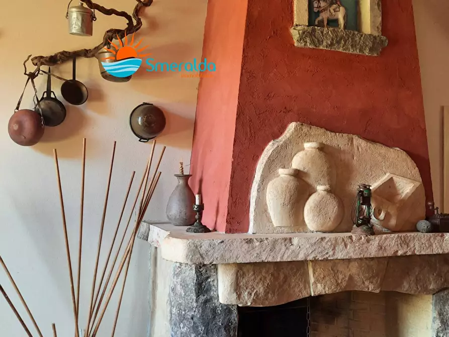 Immagine 10 di Azienda agricola in vendita  a Romana