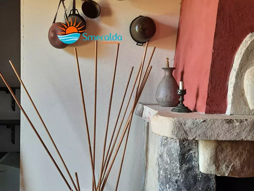 Immagine 16 di Azienda agricola in vendita  a Romana