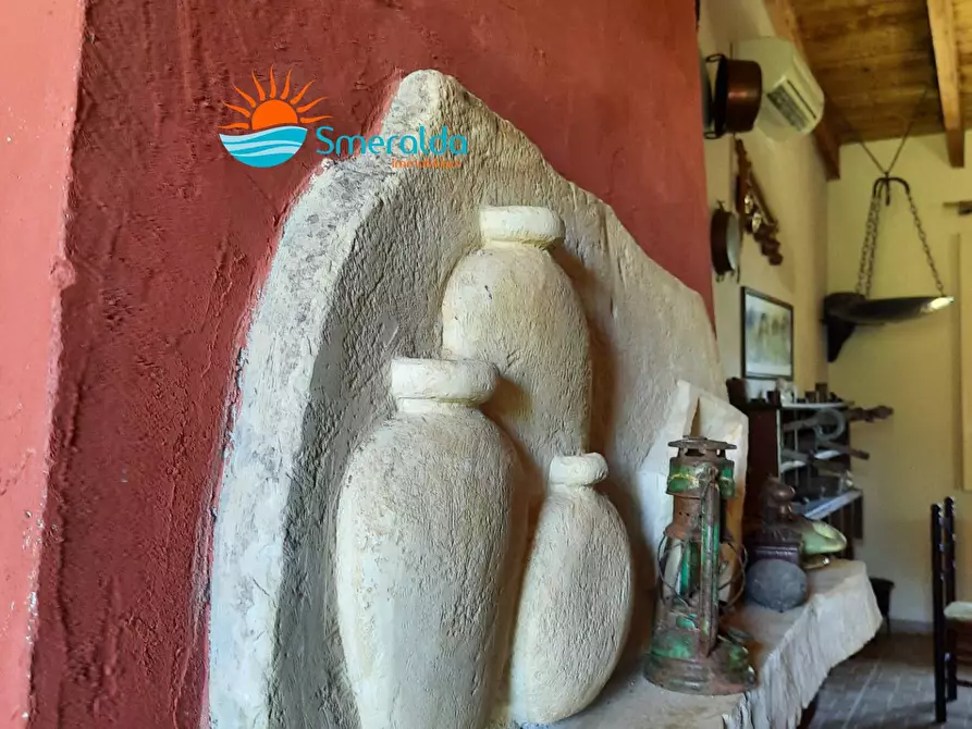 Immagine 11 di Azienda agricola in vendita  a Romana