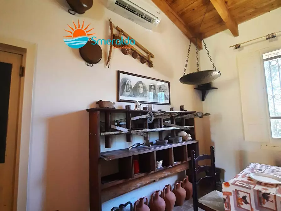 Immagine 15 di Azienda agricola in vendita  a Romana