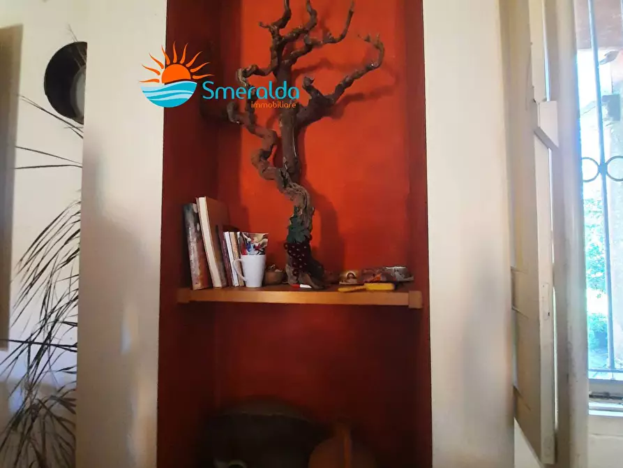 Immagine 14 di Azienda agricola in vendita  a Romana