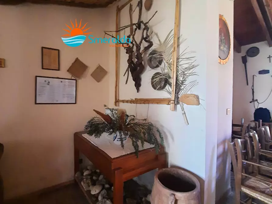 Immagine 8 di Azienda agricola in vendita  a Romana