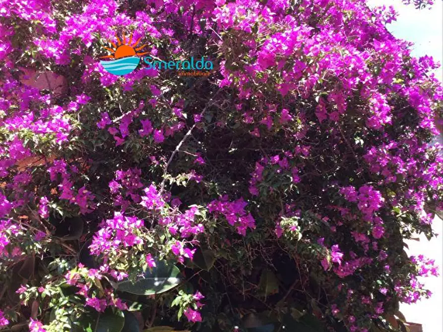 Immagine 8 di Casa bifamiliare in vendita  in strada Marazzino Ruoni a Santa Teresa Gallura