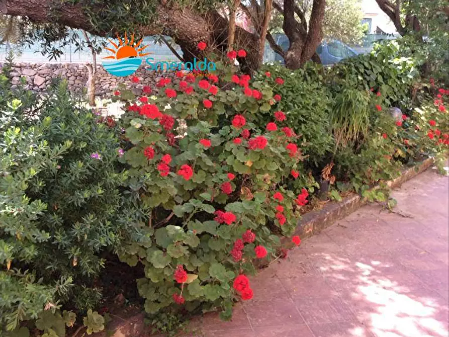 Immagine 19 di Casa bifamiliare in vendita  in strada Marazzino Ruoni a Santa Teresa Gallura