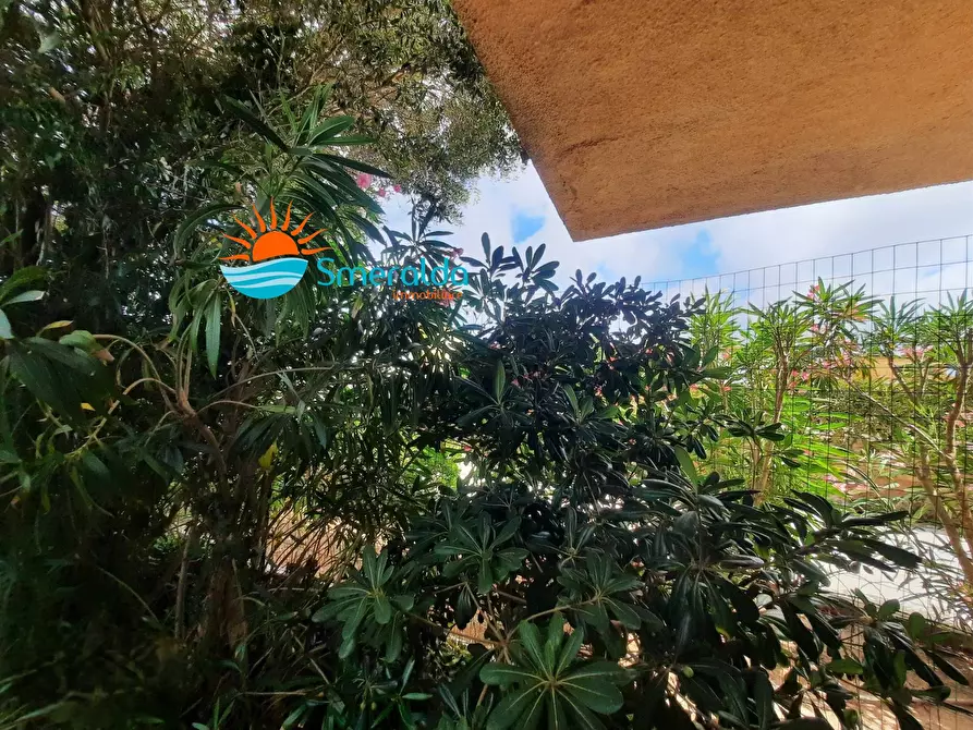Immagine 7 di Casa bifamiliare in vendita  in strada Marazzino Ruoni a Santa Teresa Gallura