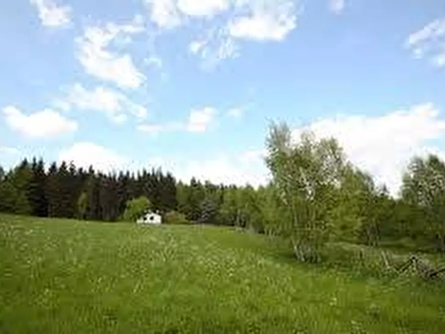 Immagine 13 di Terreno residenziale in vendita  in via trezzo a Vaprio D'adda