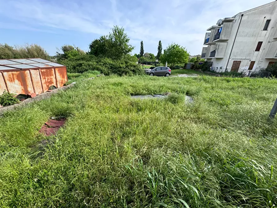 Immagine 11 di Locale commerciale in vendita  a Buti