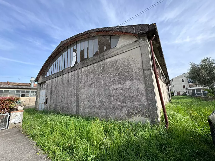 Immagine 12 di Locale commerciale in vendita  a Buti