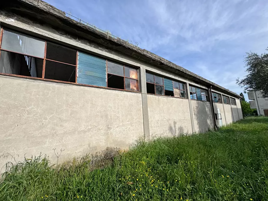 Immagine 13 di Locale commerciale in vendita  a Buti