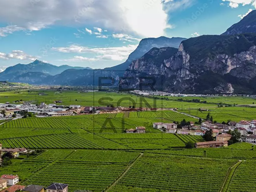 Immagine 2 di Bar / Ristorante in vendita  a Roverè Della Luna