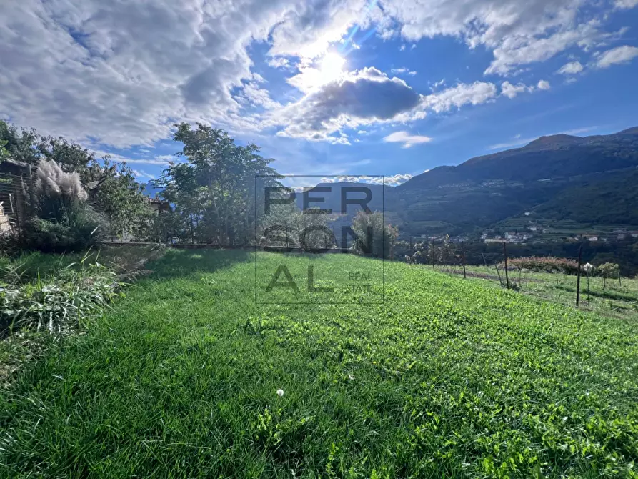 Immagine 19 di Camera in vendita  a Brentonico