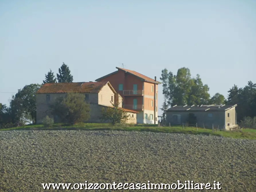 Immagine 1 di Azienda agricola in vendita  a Appignano Del Tronto
