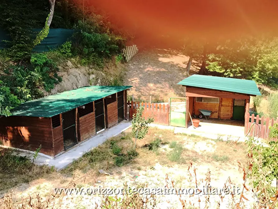 Immagine 24 di Villa in vendita  a Ascoli Piceno