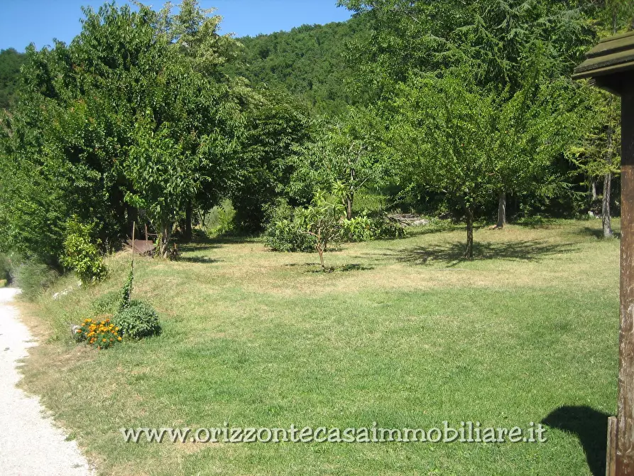 Immagine 4 di Casa indipendente in vendita  a Ascoli Piceno