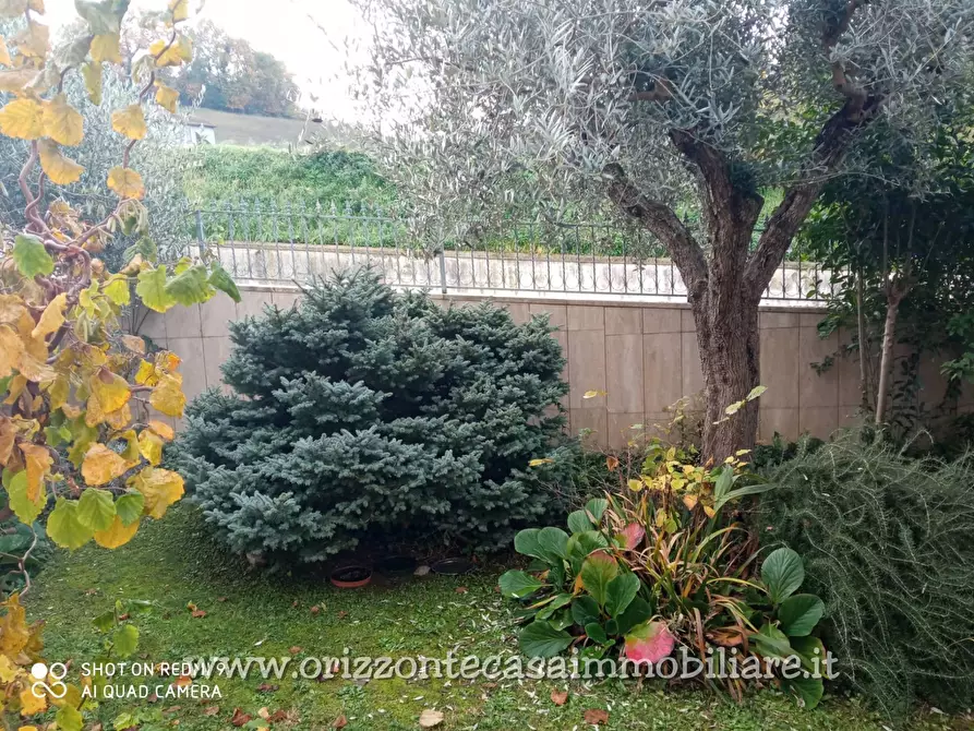 Immagine 21 di Villetta a schiera in vendita  a Folignano