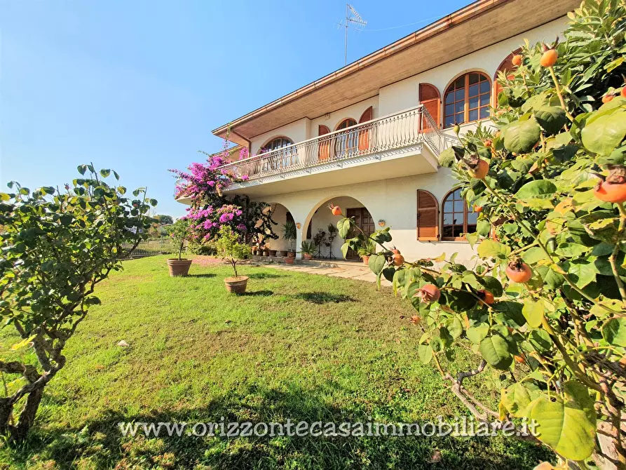 Immagine 2 di Villa in vendita  a Spinetoli