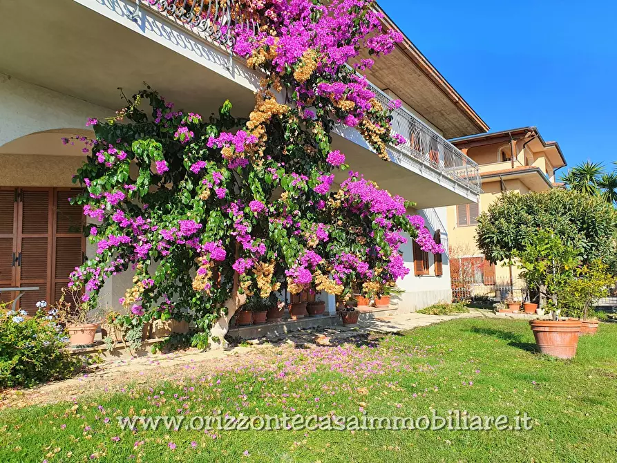 Immagine 4 di Villa in vendita  a Spinetoli