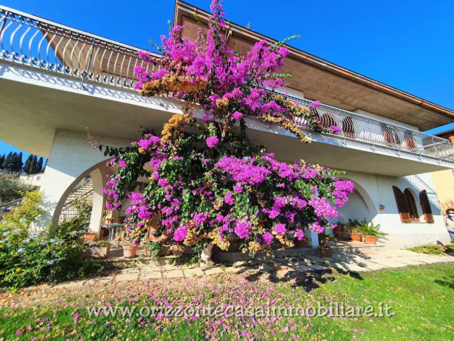 Immagine 5 di Villa in vendita  a Spinetoli