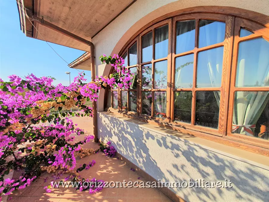 Immagine 12 di Villa in vendita  a Spinetoli