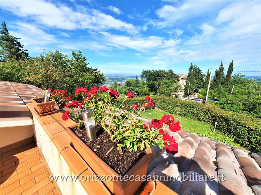 Immagine 28 di Villa in vendita  a Ascoli Piceno