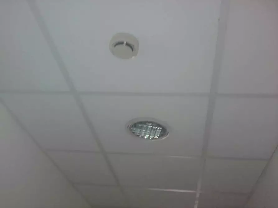 Immagine 20 di Ufficio in affitto  in Viale Palmiro Togliatti a Roma