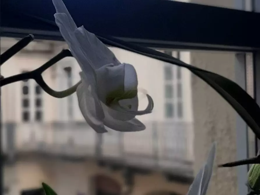 Immagine 9 di Laboratorio in affitto  in Via de Tillier a Aosta