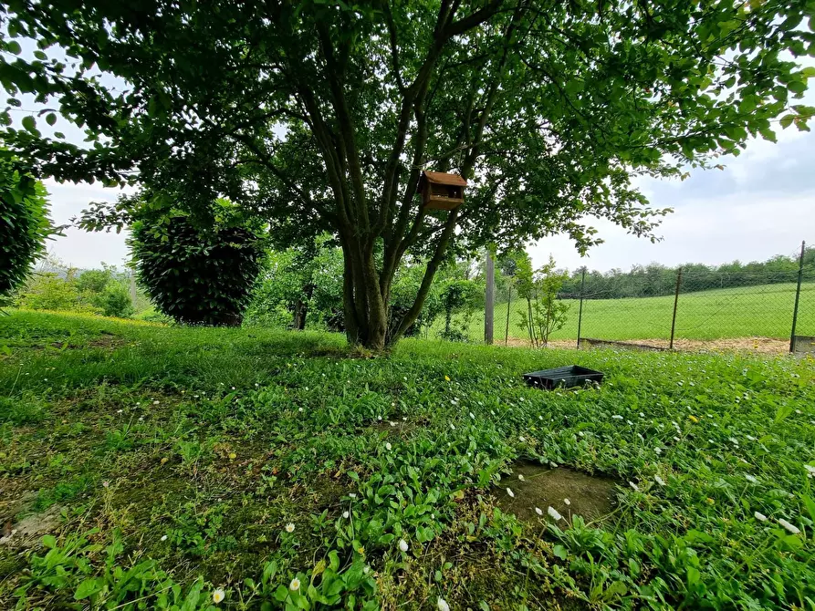 Immagine 27 di Villa in vendita  in pietra  marazzi a Pietra Marazzi