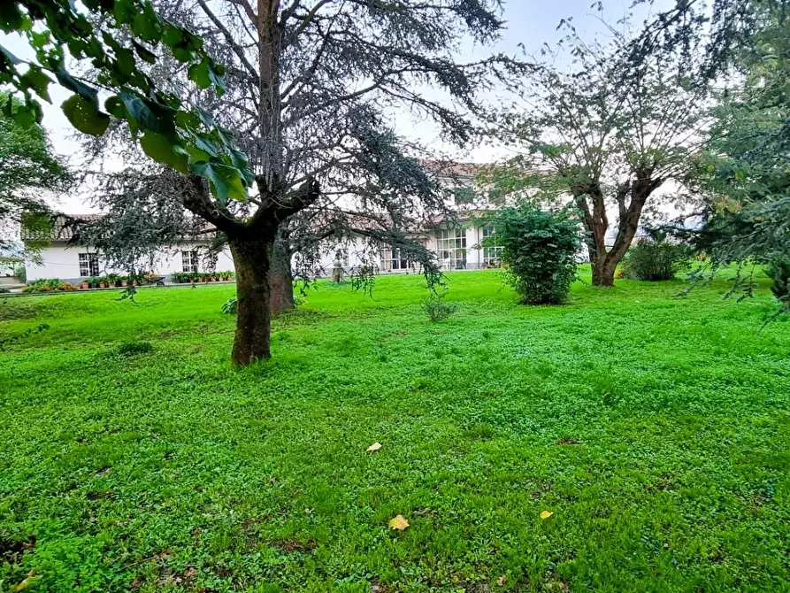 Immagine 8 di Villa in vendita  in strada cerca a Alessandria