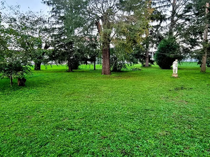 Immagine 7 di Villa in vendita  in strada cerca a Alessandria