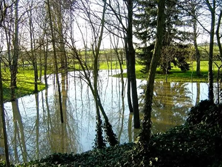 Immagine 13 di Villa in vendita  in strada cerca a Alessandria