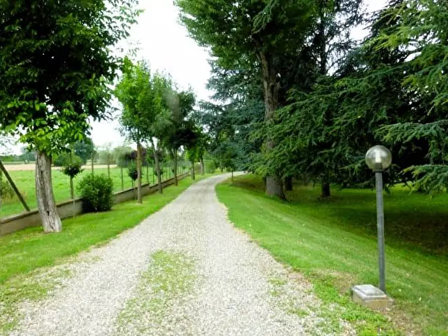 Immagine 14 di Villa in vendita  in strada cerca a Alessandria